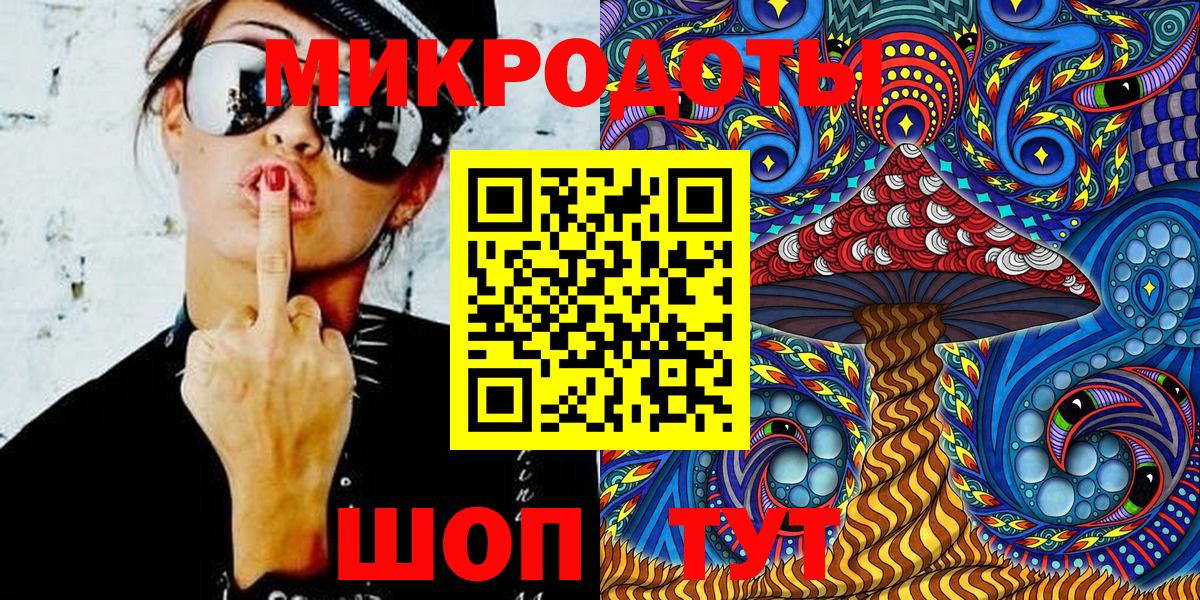 Галлюциногенные грибы Psilocybe Волжск