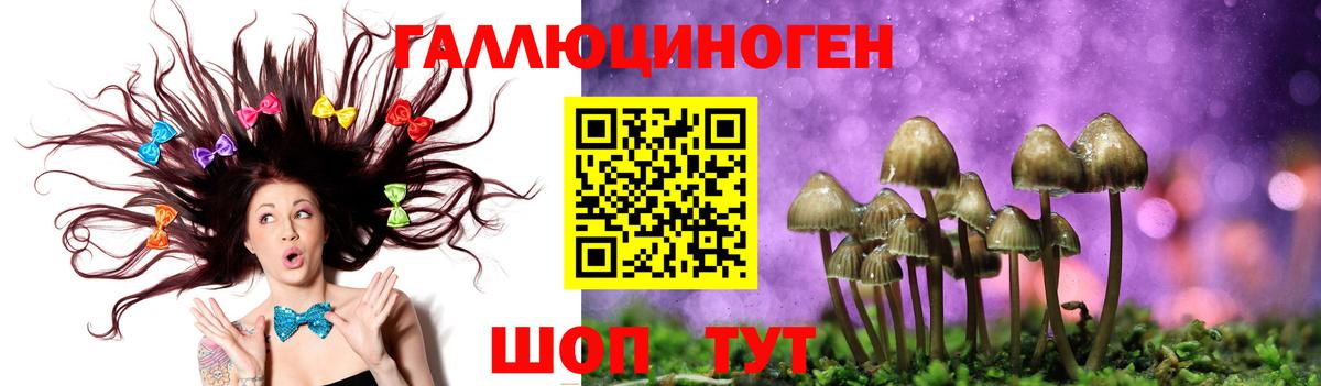 Псилоцибиновые грибы MAGIC MUSHROOMS  Вход с VPN  купить наркотик  Псилоцибиновые грибы ЛСД  Волжск 