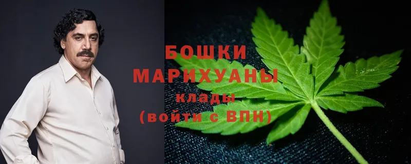 Конопля SATIVA & INDICA  сколько стоит  Волжск 